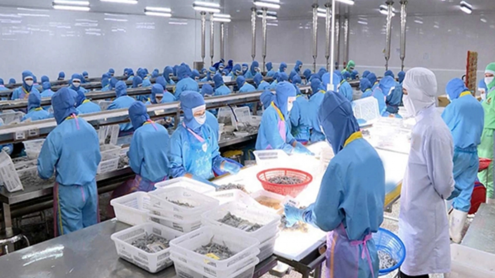 Seafood exports post 13% growth in early 2026