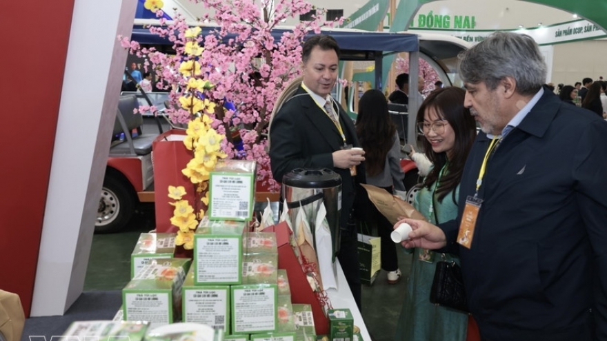 Spring Fair: International visitors impressed by dynamic, culturally rich Vietnam