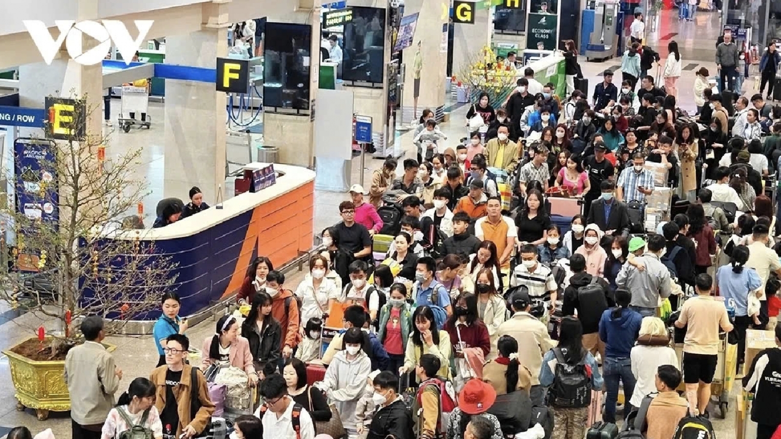 Tan Son Nhat airport to handle over 1,000 daily flights during Tet peak