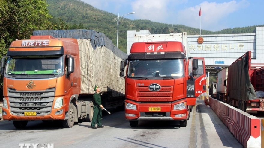 Vướng kiểm tra ATTP, hải quan đề xuất tạm áp dụng cơ chế kiểm dịch cũ