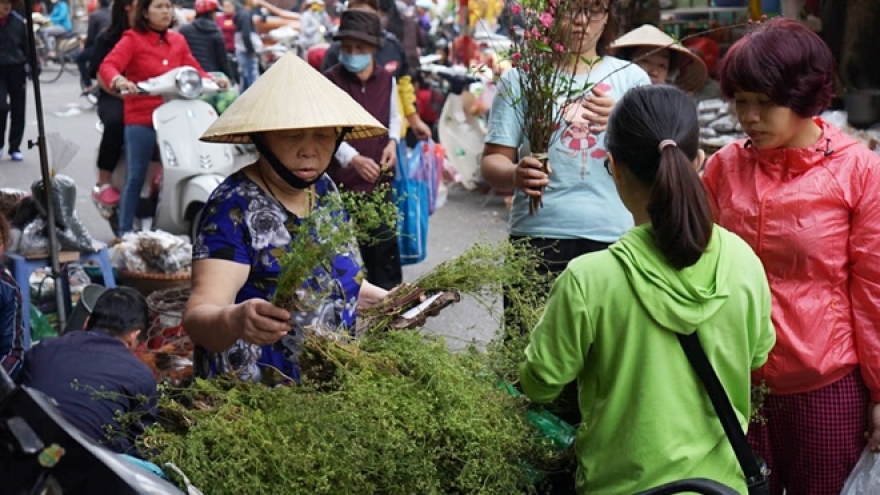 Hít hà mùi lá góc chợ cuối năm, nhớ Tết xưa