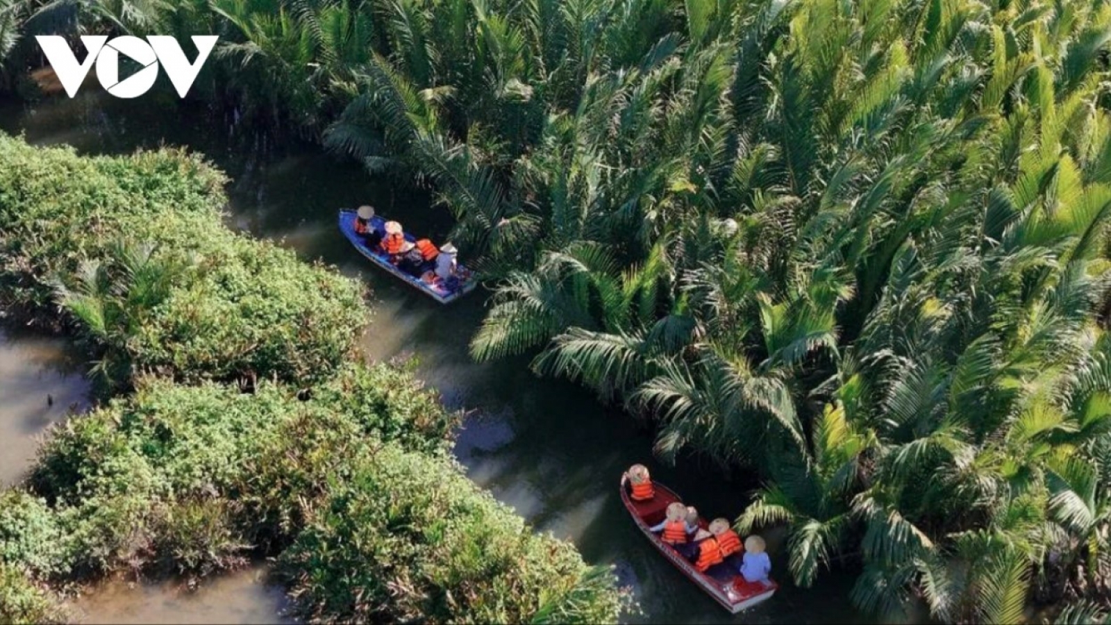 Springtime trip to Tinh Khe coconut water forest in central Vietnam