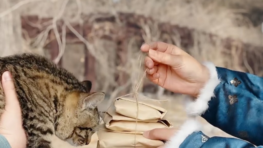 Vì sao người Trung Quốc cổ nhận nuôi mèo phải làm nghi lễ như đám cưới?