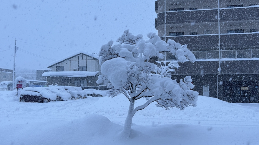 18 người thiệt mạng, 249 người bị thương liên quan các sự cố do tuyết tại Nhật Bản
