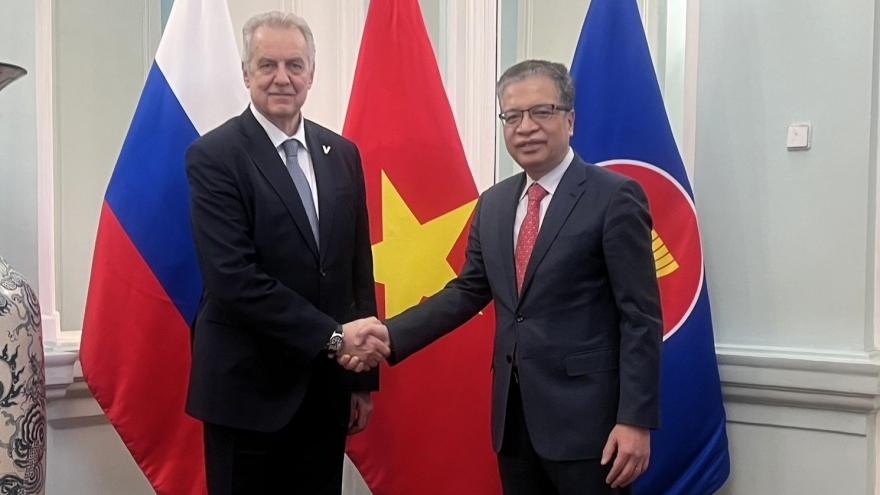 St. Petersburg gửi lời chúc đầu Xuân tới Việt Nam, mở rộng hợp tác địa phương