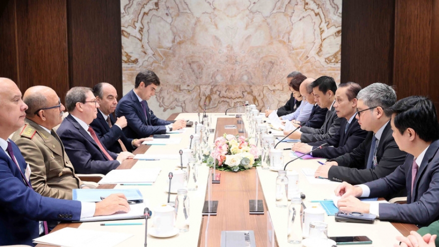 Vietnamese, Cuban FMs hail party diplomacy as bilateral ties’ political foundation