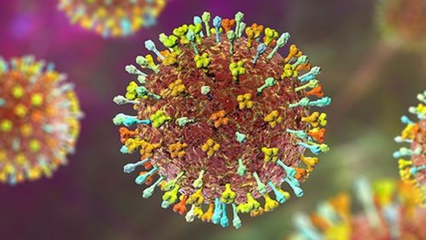 Toàn cảnh quốc tế sáng 9/2: WHO xác nhận một ca tử vong do virus Nipah
