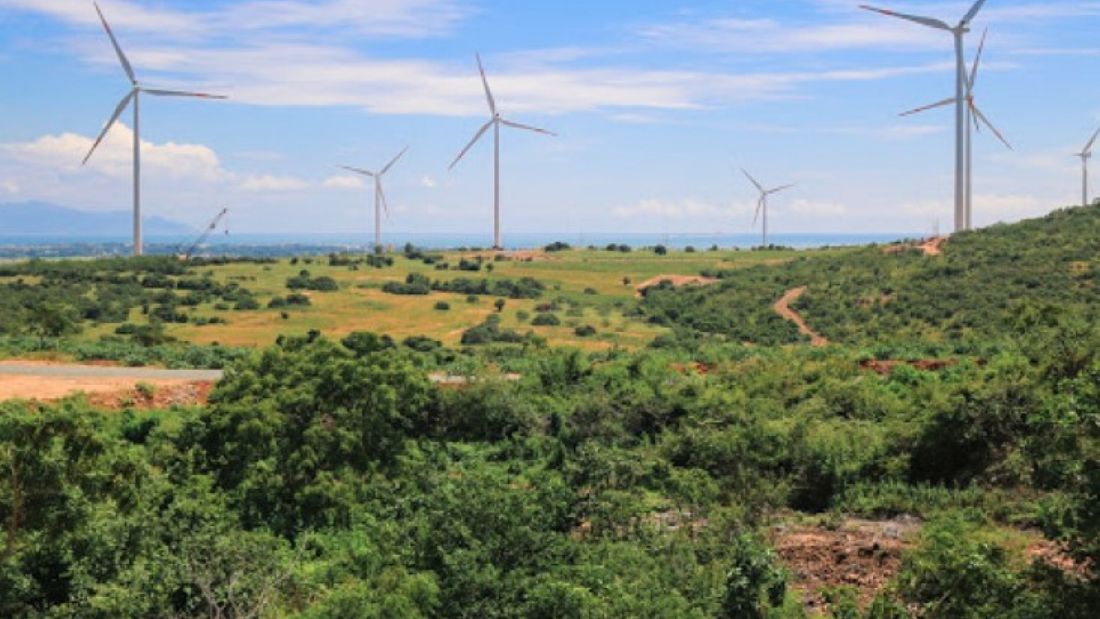 Investor approved for nearly VND 48.4 trillion wind power project in Gia Lai