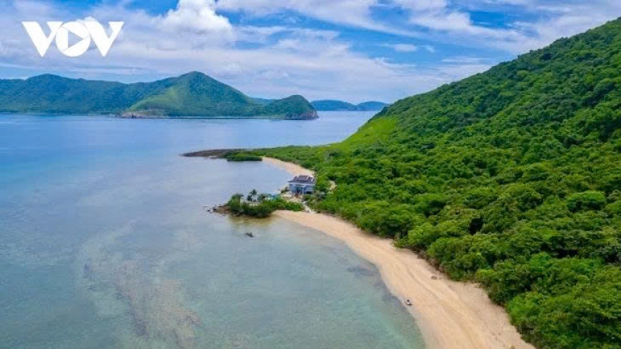 "Ly biển" - Thiên nhiên và lòng người giao hòa trong khoảnh khắc mùa xuân