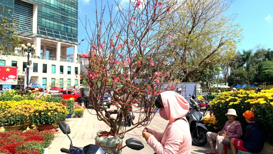 Chợ hoa Xuân ở Huế, hoa cúc mất mùa được giá