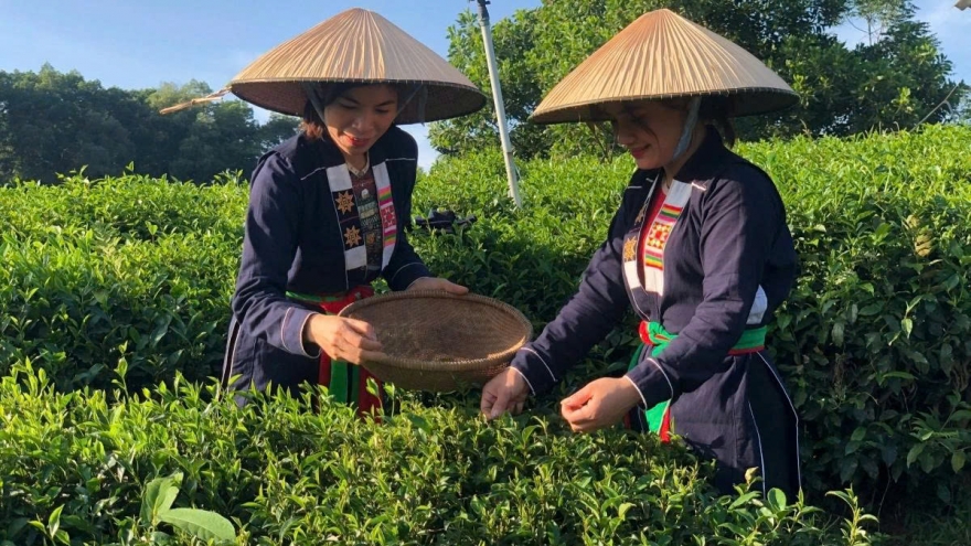 Thúc đẩy tín dụng xanh cho nông nghiệp bền vững