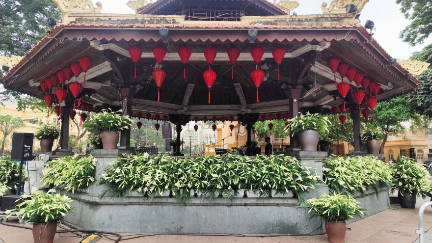 Hàng nghìn bông hoa loa kèn “đánh thức” không gian Nhà Bát Giác, Hà Nội