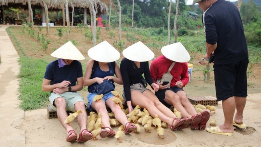 Từ đàn vịt quê đến “mỏ vàng du lịch”: Trải nghiệm lạ hút khách quốc tế