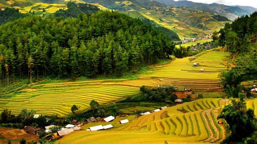 Đường bốn mùa xuân