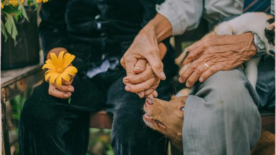 Vợ mất chưa tròn năm, cụ ông U80 đòi tái hôn với giúp việc, dọa phá nhà nếu bị cản