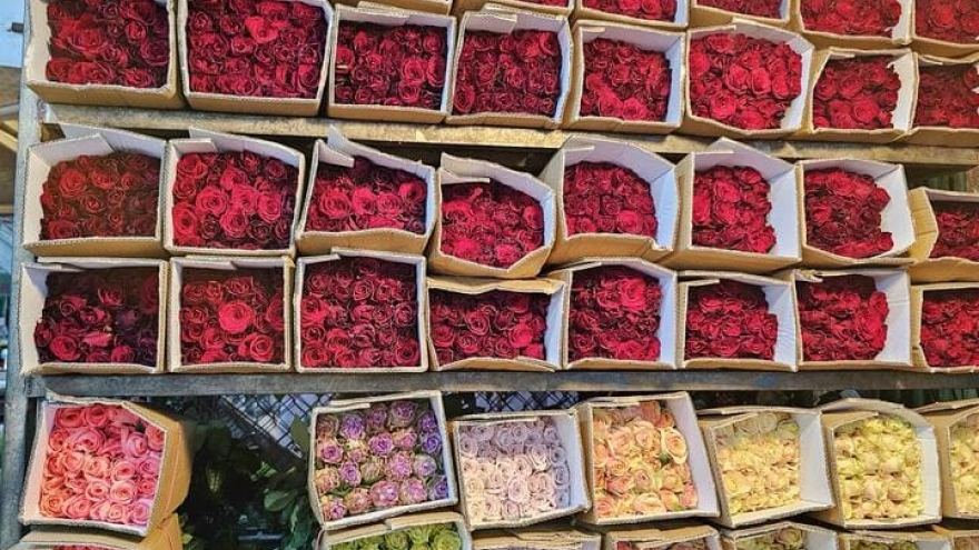 Rose prices spike before March 8, traders fear unsold stock