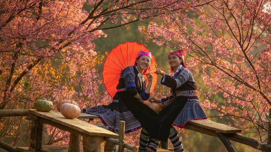 Hạnh phúc - Giá trị bền vững trong đời sống văn hóa người Việt