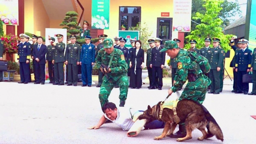 Sniffer dogs assist border guard forces in anti-drug operation