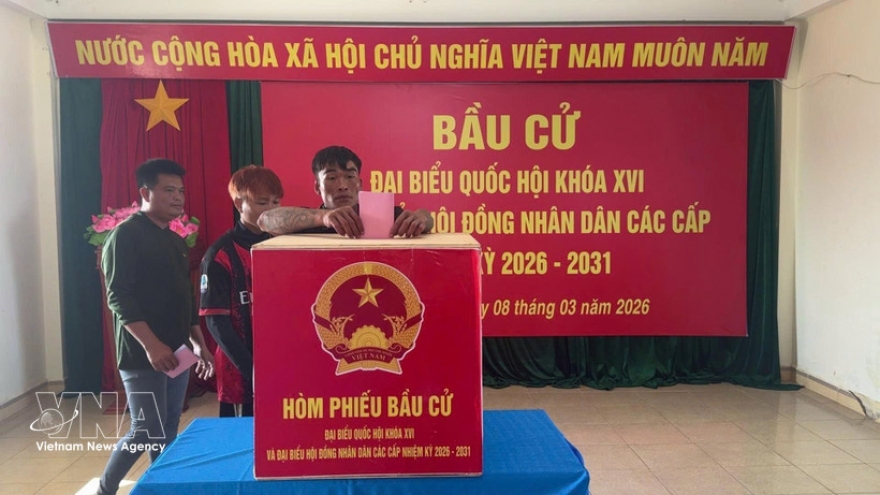 Vietnamese NA helps build institutional foundations for long-term development