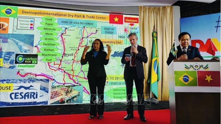 Vietnam, Brazil push cooperation in agriculture, energy and biotechnology