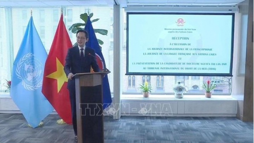 Vietnam contributes to cooperation and promotes unity in Francophone community