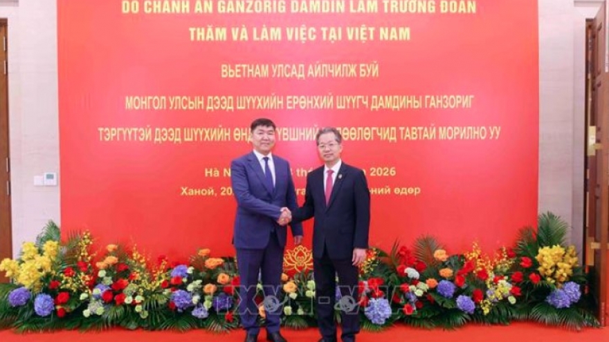 Vietnam, Mongolia courts step up judicial cooperation