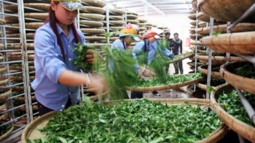 Vietnam’s exports to Pakistan rise 19% in 2025