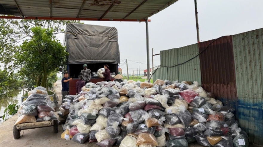 Vụ án 100 tấn thực phẩm chức năng giả: Cán bộ hải quan nhận hối lộ 1,5 tỷ đồng