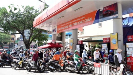 Vietnam has no immediate need to tap national petroleum reserves