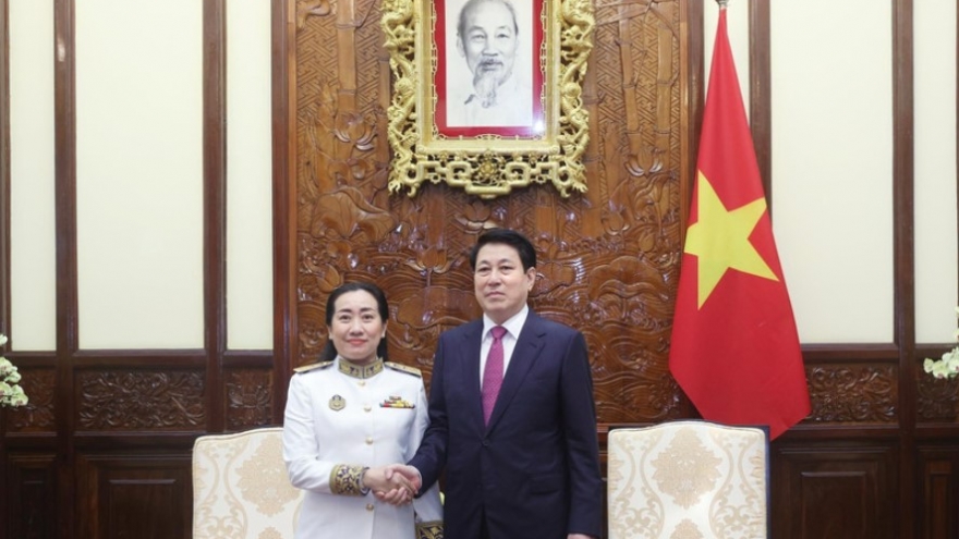 Vietnam eyes stronger relations with Cambodia, Saudi Arabia, Dominica
