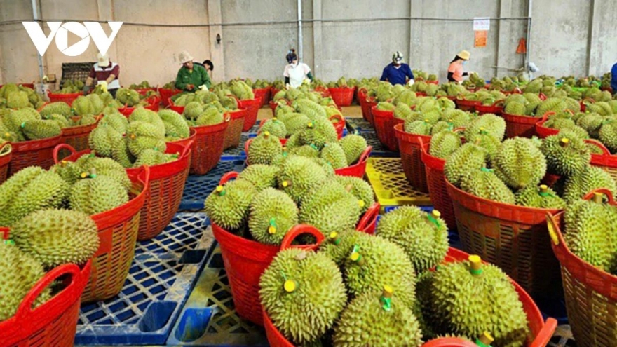 Middle East tensions test resilience of Vietnam’s agriculture sector