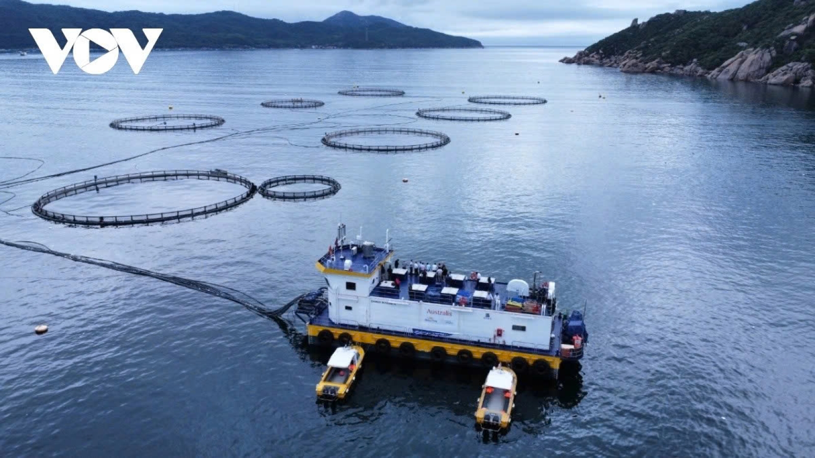 Green ocean economy discussed at Vietnam–India maritime dialogue