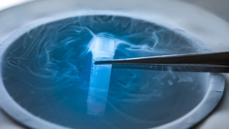 Vì sao ngày càng nhiều phụ nữ trữ đông trứng sớm?