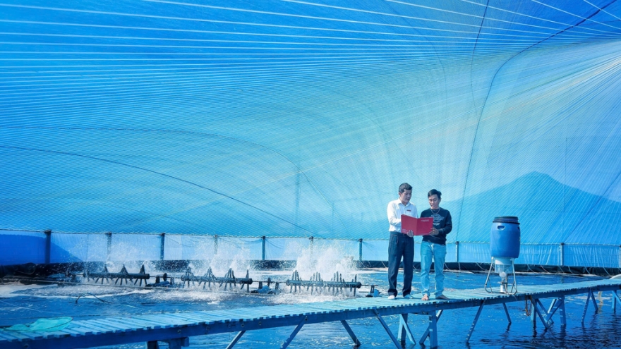 Agribank với trách nhiệm ESG toàn diện, từ “vốn xanh” đến an sinh cộng đồng