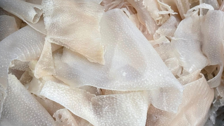 Bì lợn - bộ phận bị ghẻ lạnh nhưng là "kho báu" chống già