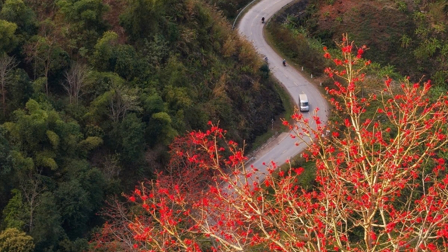 Son La mountains ablaze with red silk-cotton blossoms