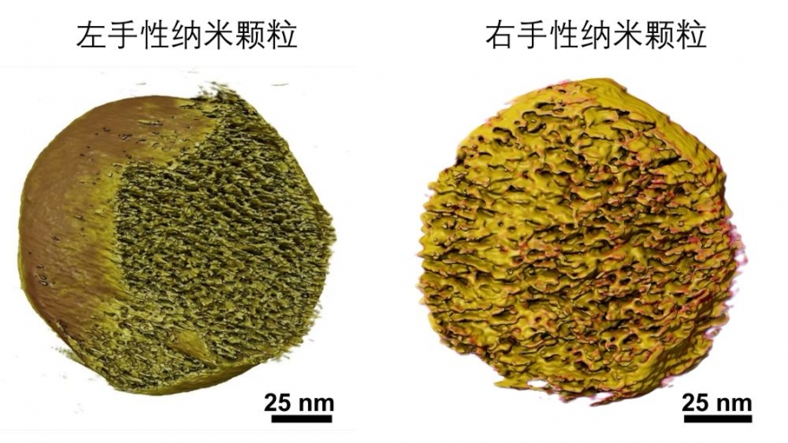 Trung Quốc phát triển loại tá dược mới giúp tăng hiệu quả vaccine ung thư