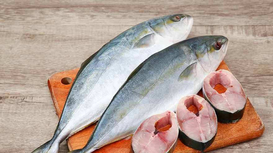 Loại cá đắt giá được nhân giống thành công tại Việt Nam