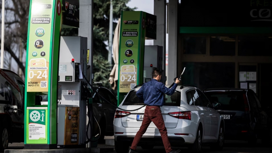 Giá nhiên liệu tăng cao kìm hãm nỗ lực chuyển đổi xanh của châu Âu