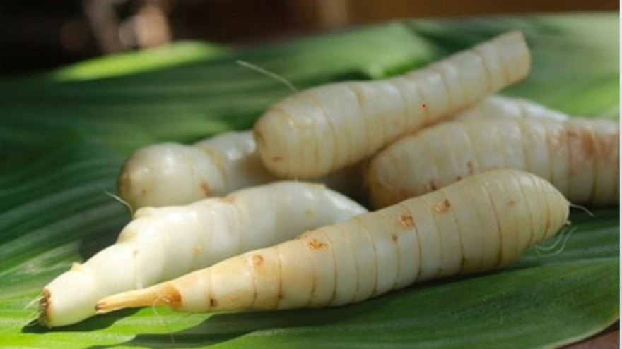 Việt Nam có "báu vật dưới lòng đất" hương vị đặc biệt, tốt chẳng kém nhân sâm