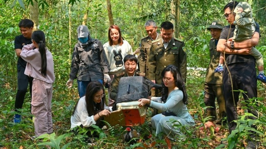 Cuc Phuong national park targets becoming natural “wildlife gene bank” by 2050