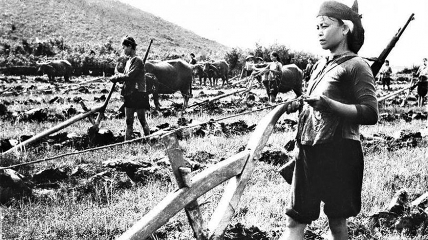 Đường cày đảm đang