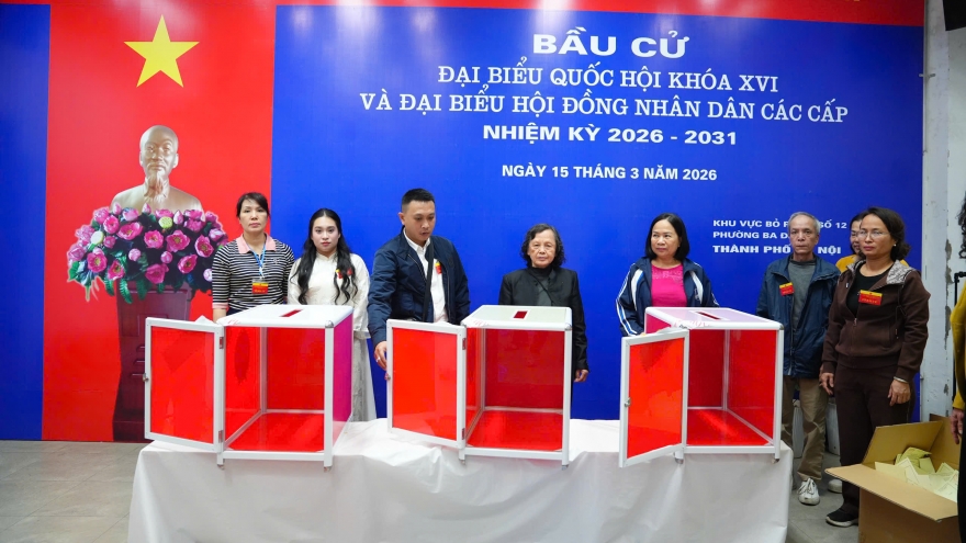 Tường thuật trực tiếp ngày hội toàn dân 15/3/2026