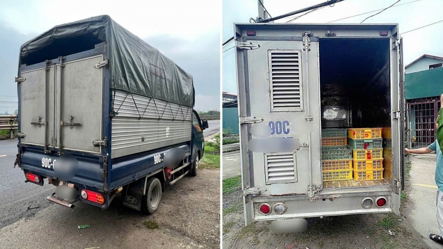 Hà Nội xử lý 4 xe chở gia cầm giống không đảm bảo vệ sinh thú y