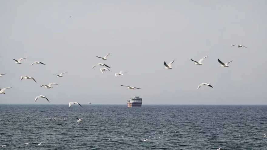 Xung đột Iran đe dọa chuỗi cung ứng lương thực tại vùng Vịnh