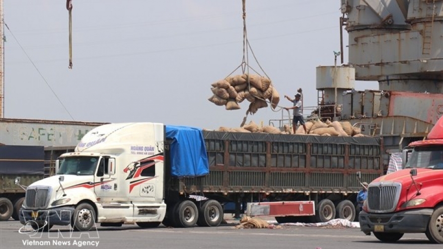 HCM City firms adjust markets to maintain jobs amid global shipping disruptions