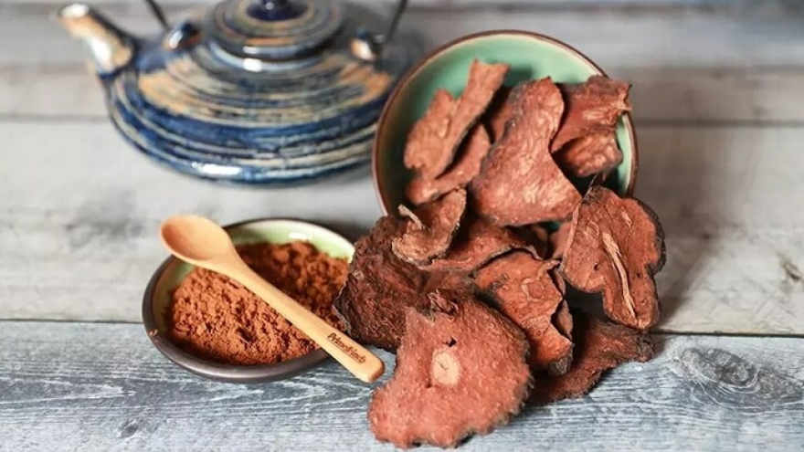 Vị thuốc quý giúp bổ can thận, dưỡng huyết có sẵn ở Việt Nam ít người chú ý