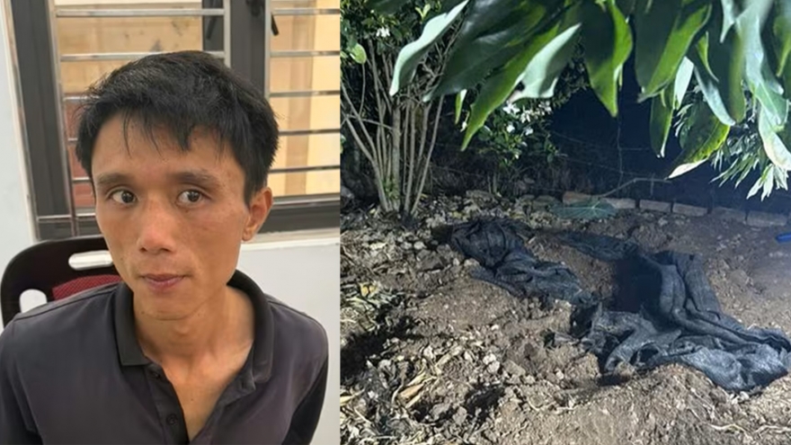 Hải Phòng: Bắt nghi phạm sát hại cụ bà 87 tuổi