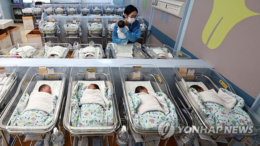 Số trẻ sơ sinh ra đời tại Hàn Quốc tiếp tục gia tăng đáng kể