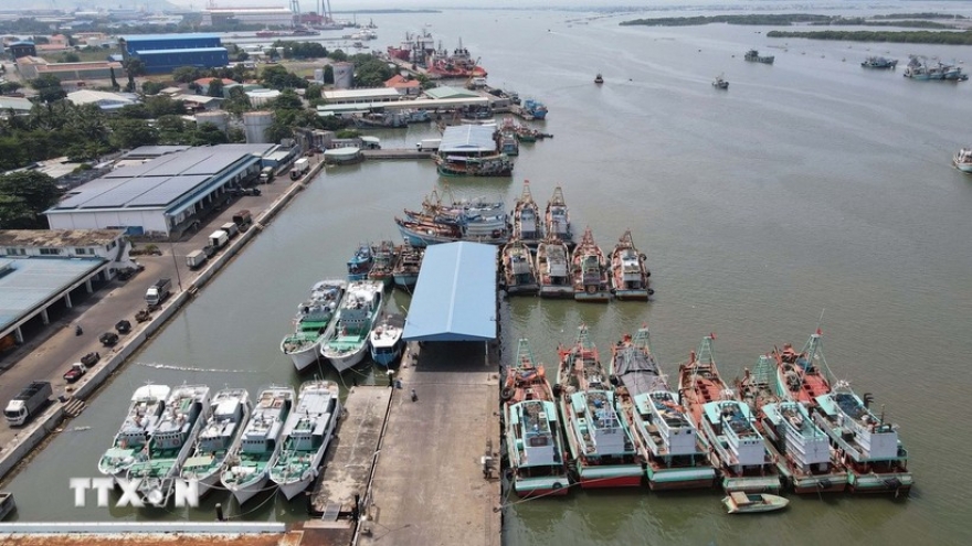 Ho Chi Minh City enhances measures agaisnt IUU fishing at ports